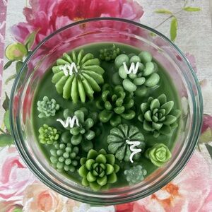 *NWT Succulent Terrarium Candle
